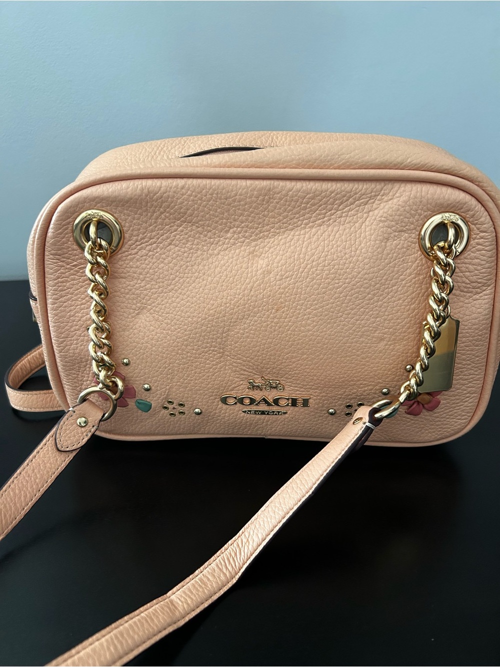 Coach
CAMMIE CHAIN SHOULDER BAG WITH FLORAL WHIPSTITCH